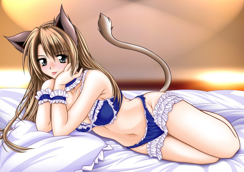 Sexy cat girl anime