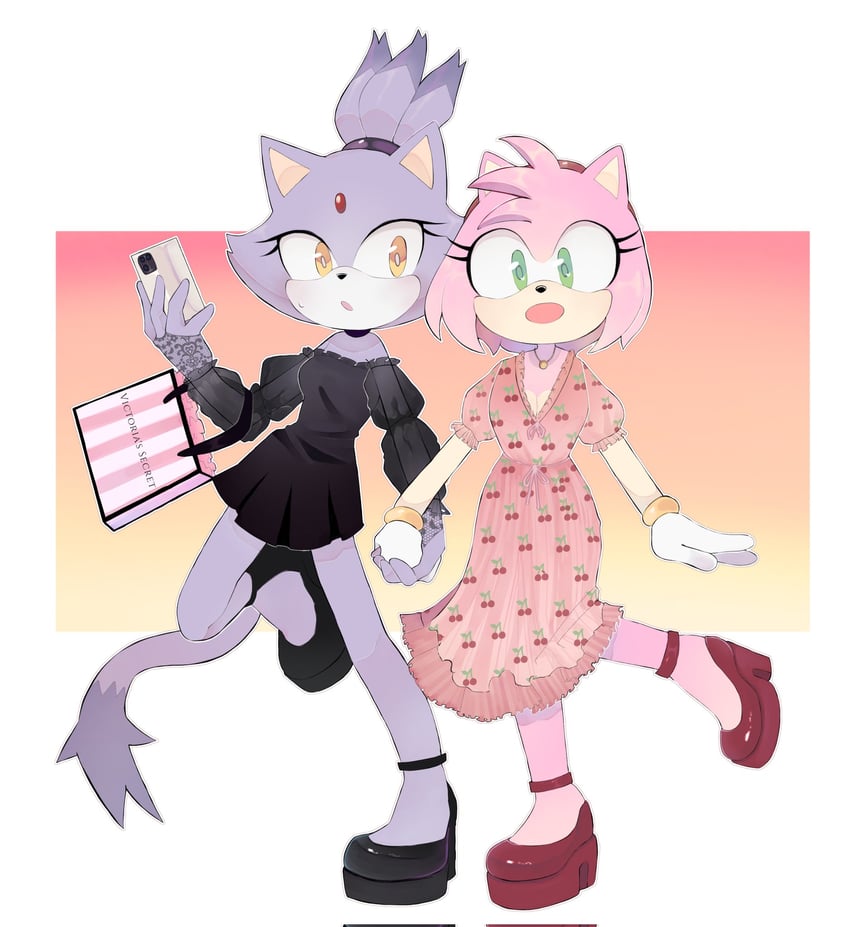 amy rose and blaze the cat (sonic) drawn by kiironoinku