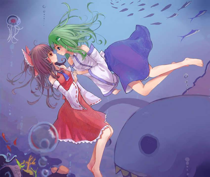 hakurei reimu and kochiya sanae (touhou) drawn by hoki_(hokiapril)