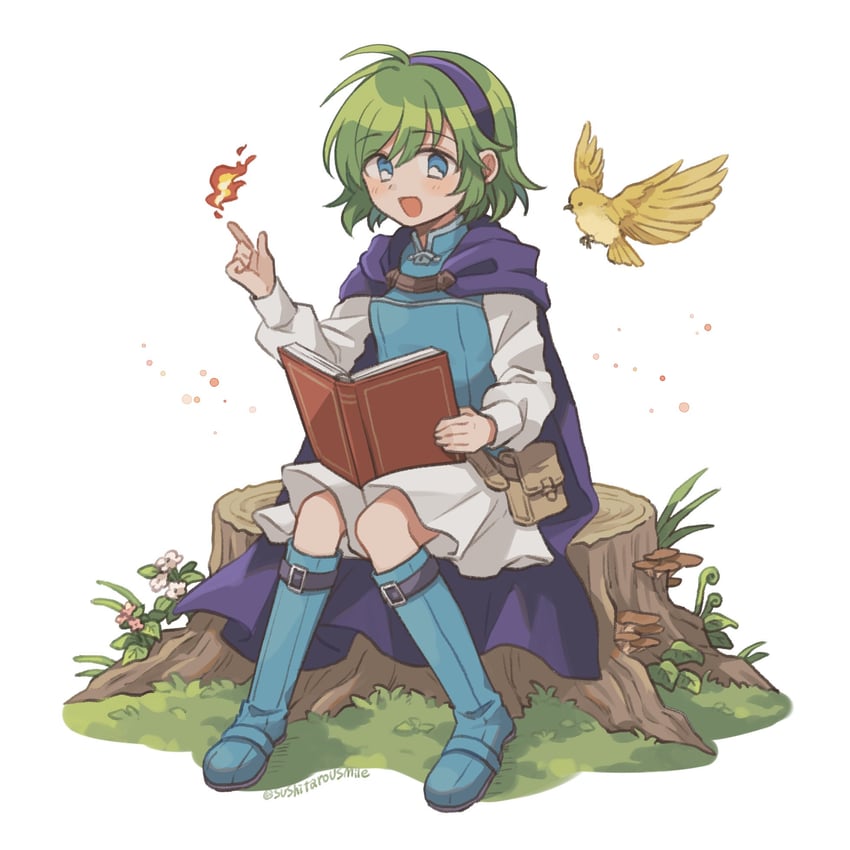 nino (fire emblem and 1 more) drawn by sushitarou