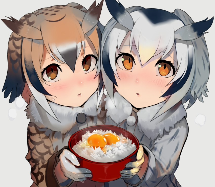 northern white-faced owl and eurasian eagle owl (kemono friends) drawn by walzrj