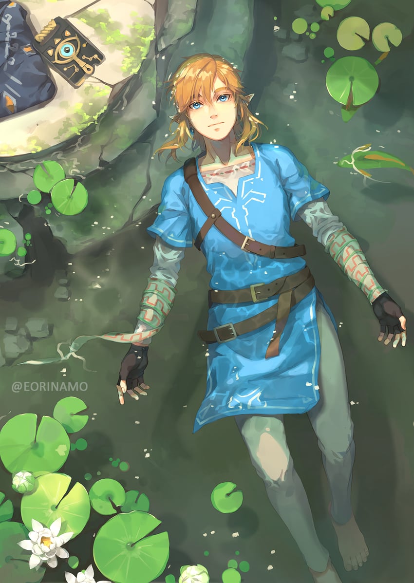 link (the legend of zelda and 1 more) drawn by eorinamo