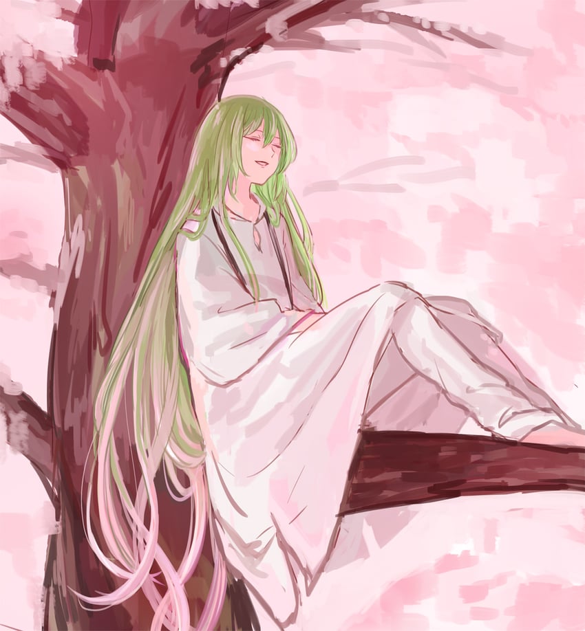enkidu (fate and 1 more) drawn by himeko_(nico6v6pachi)
