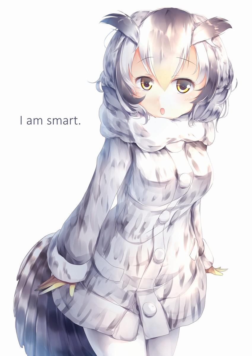 northern white-faced owl (kemono friends) drawn by kanzakietc