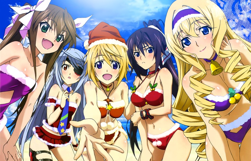 charlotte dunois, cecilia alcott, laura bodewig, shinonono houki, and huang lingyin (infinite stratos) drawn by hashimoto_takayoshi