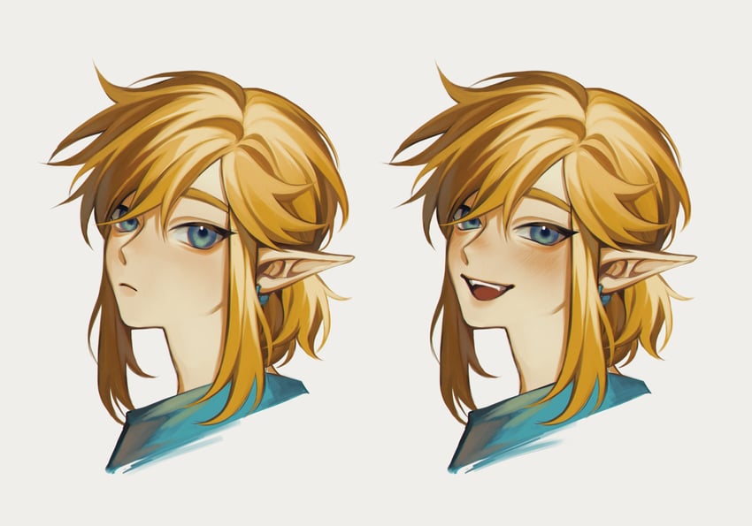 link (the legend of zelda and 1 more) drawn by montaro