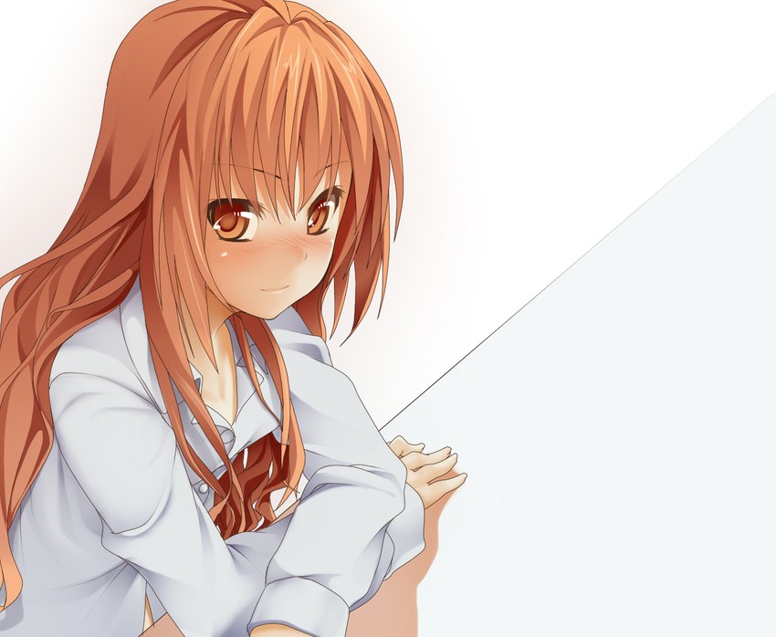 aisaka taiga (toradora!) drawn by piiko_(aa_doushiyou)