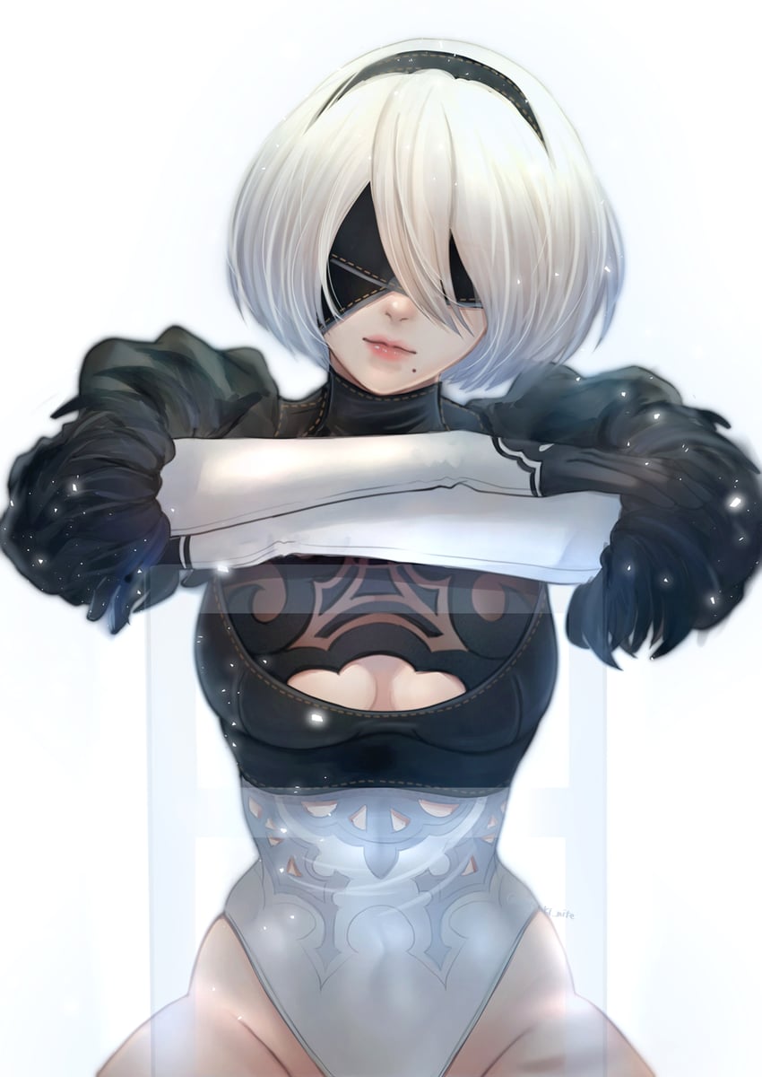 2b (nier and 1 more) drawn by mitsuki_nite