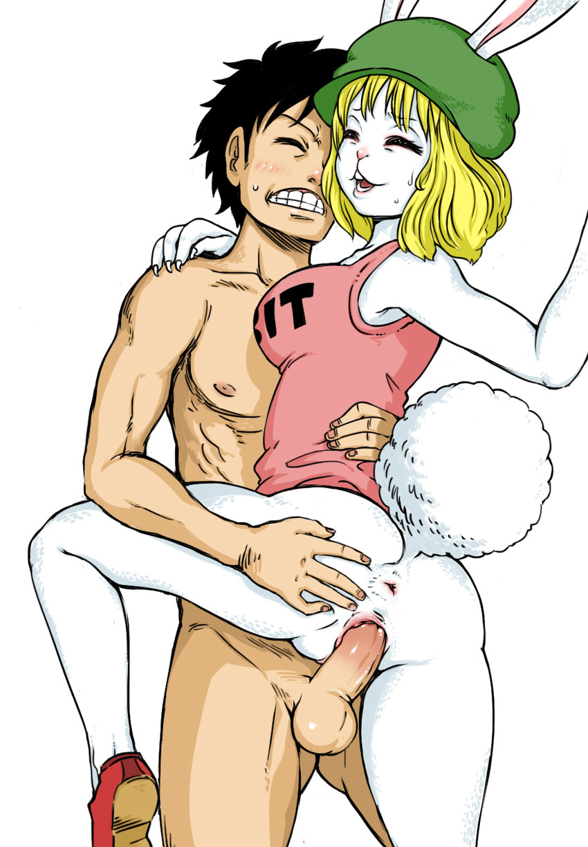 monkey d. luffy and carrot (one piece) drawn by kurita
