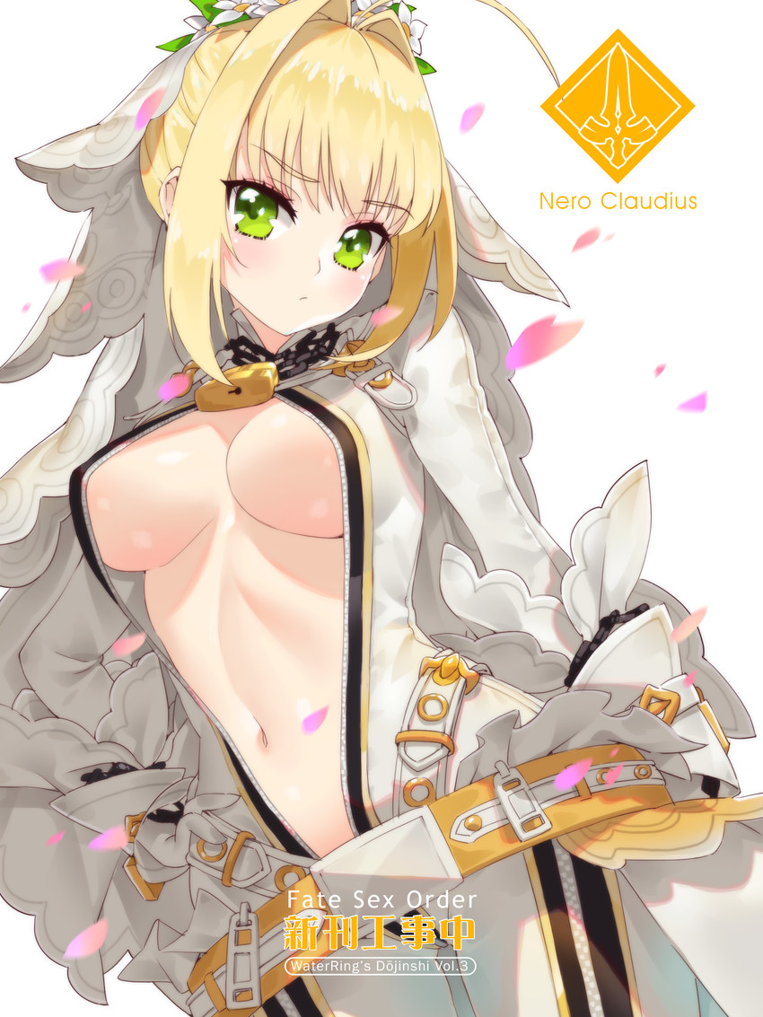 nero claudius (fate and 1 more) drawn by waterring