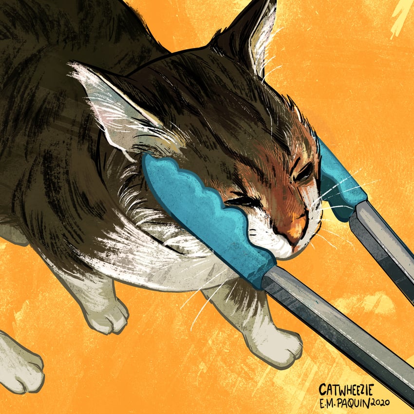 original drawn by catwheezie