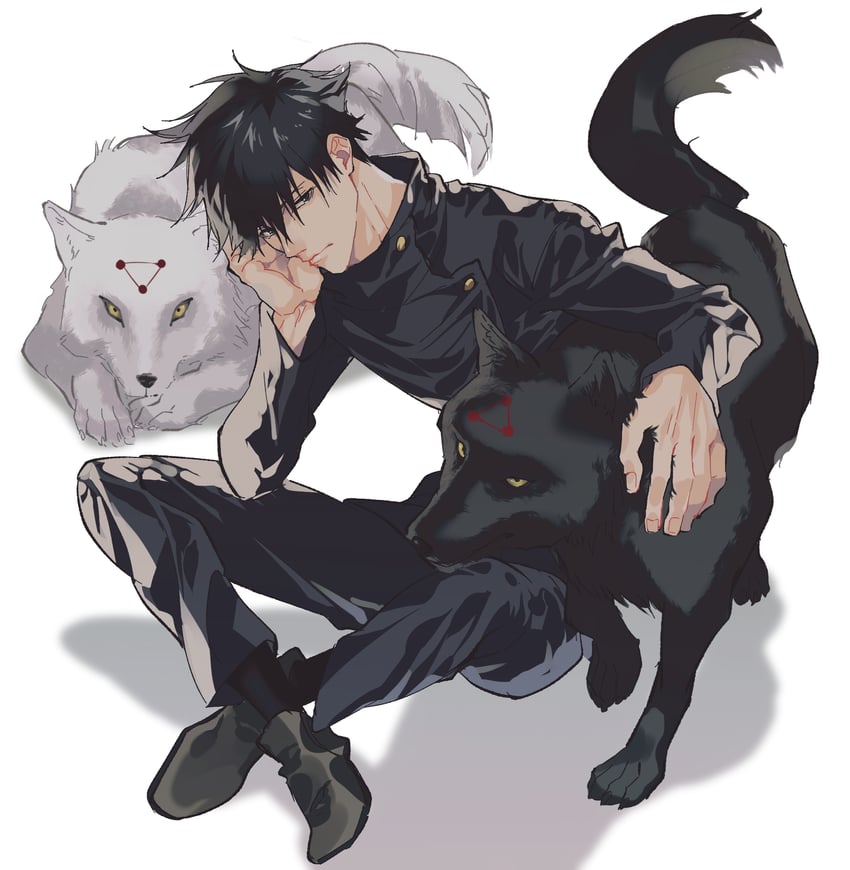 fushiguro megumi and gyokuken (jujutsu kaisen) drawn by sena_(senattll)