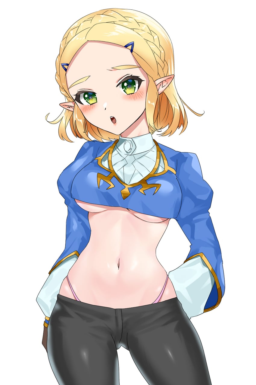 princess zelda (the legend of zelda and 1 more) drawn by wasabi_(legemd)