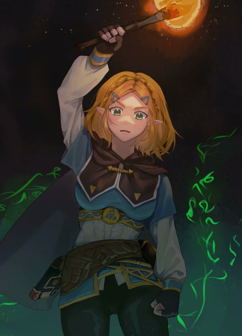 princess zelda (the legend of zelda and 1 more) drawn by azao_0