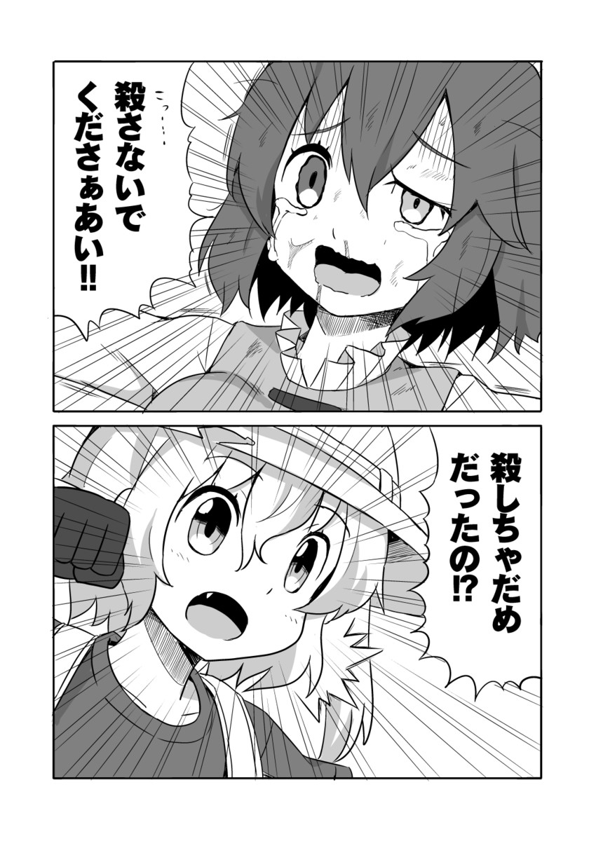 flandre scarlet and tatara kogasa (touhou and 1 more) drawn by shimouki_izui