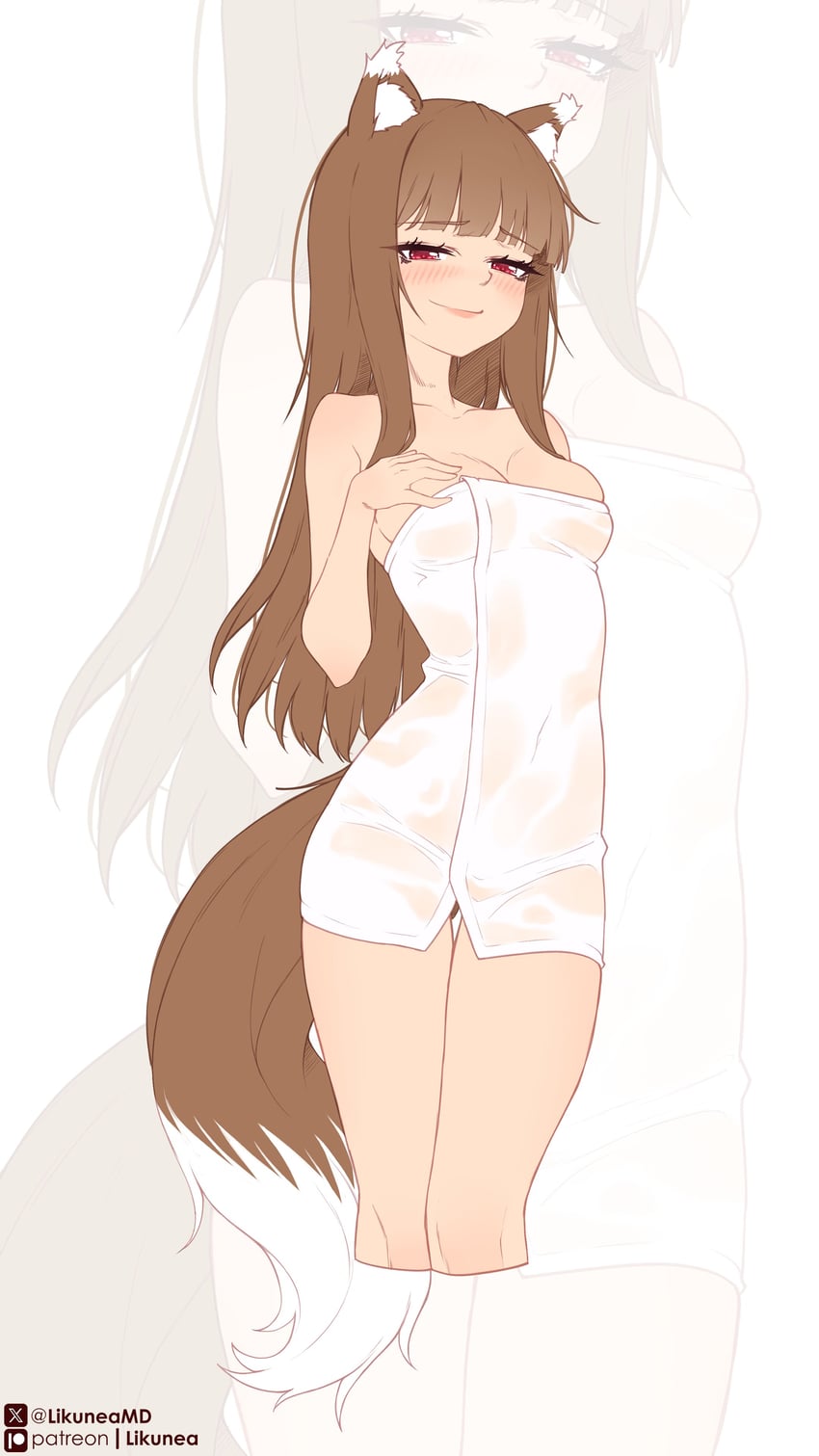 holo (spice and wolf) drawn by likunea