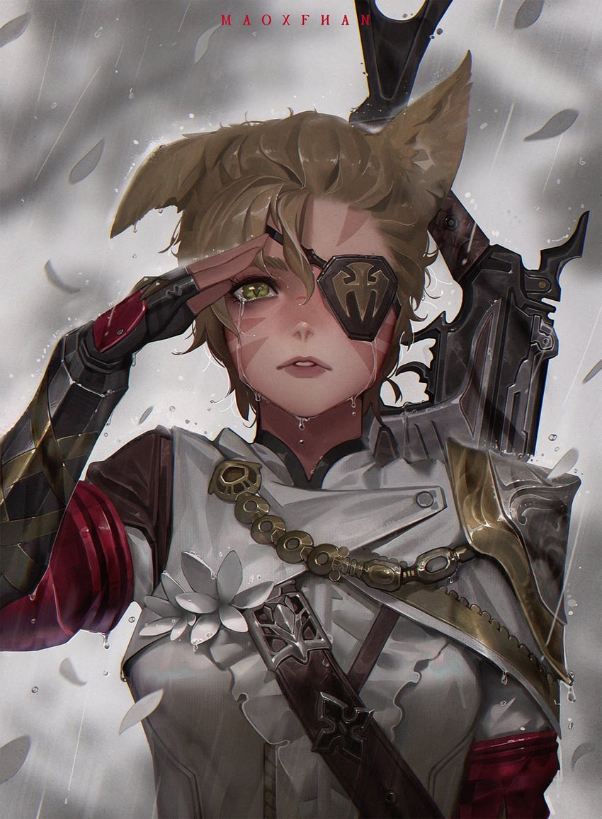 warrior of light and machinist (final fantasy and 1 more) drawn by maoxfhan