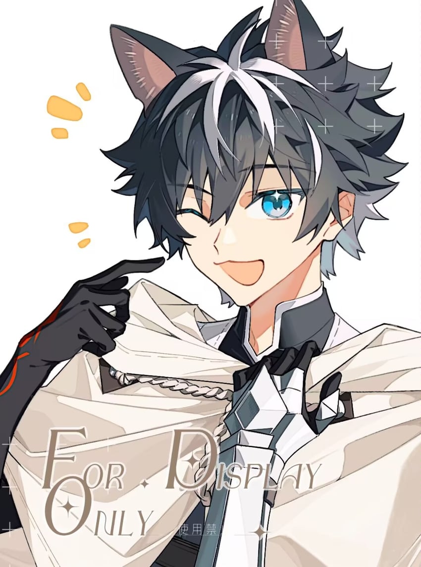 charlemagne (fate and 1 more) drawn by idass_(idass16)