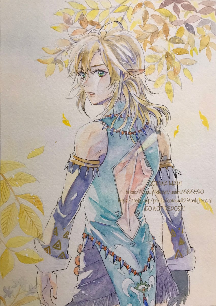 link (the legend of zelda and 1 more) drawn by hoshino_mami