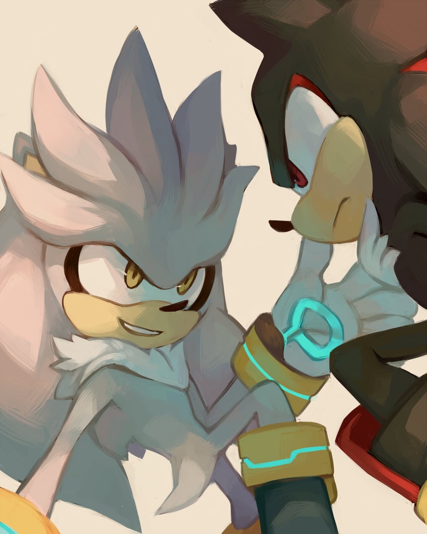 shadow the hedgehog and silver the hedgehog (sonic) drawn by salanchu