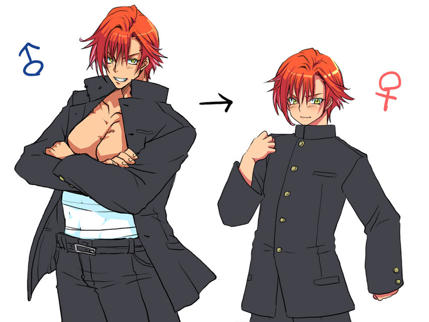 igarashi kyou (seitenkango. shinyuu to) drawn by eroe