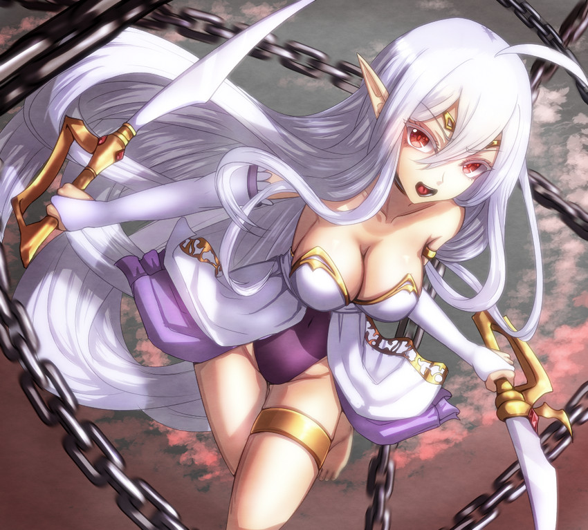 zerida (langrisser and 1 more) drawn by free_note017