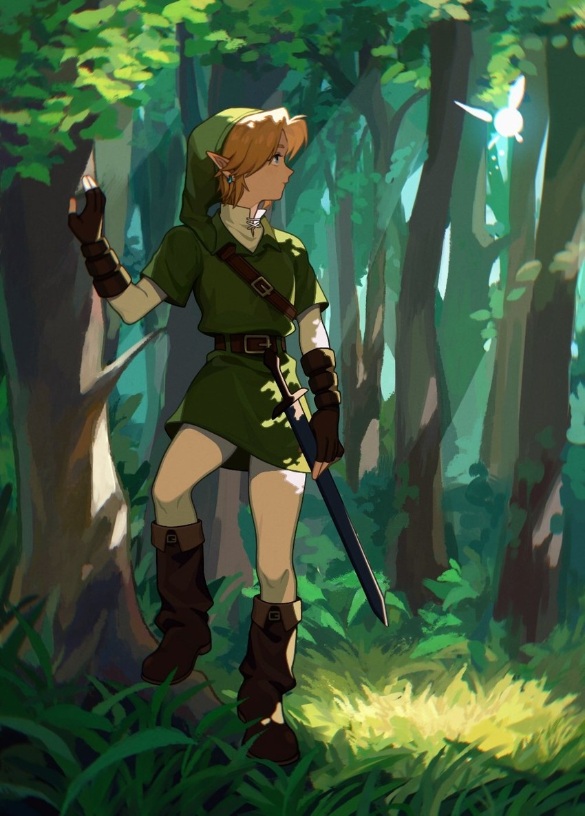 link and navi (the legend of zelda and 1 more) drawn by liang_yuan_tu