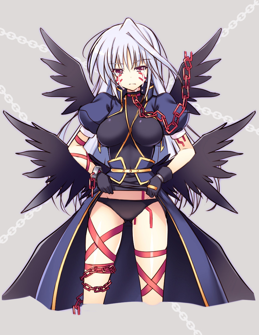 reinforce (lyrical nanoha and 2 more) drawn by raiou