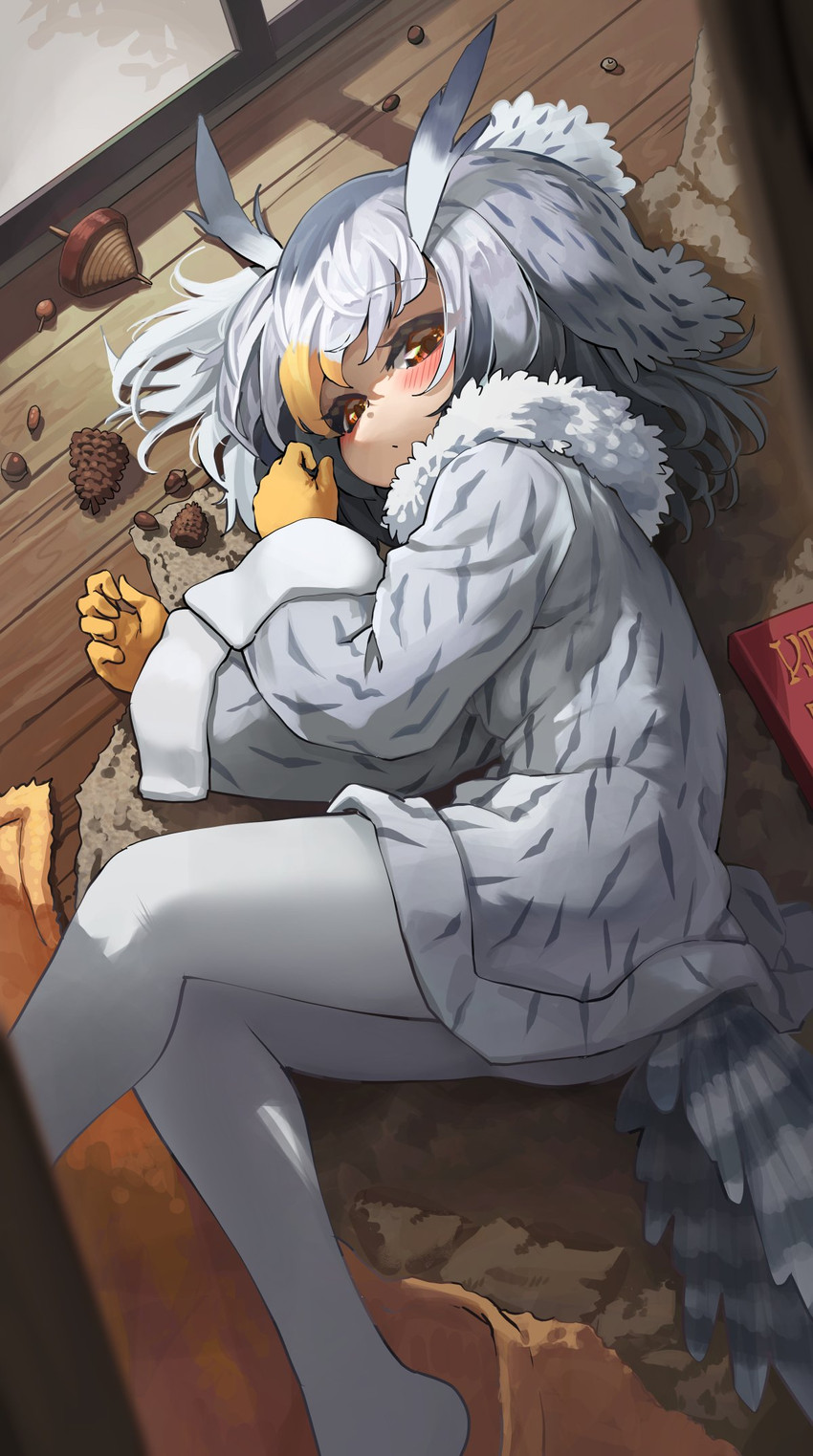 northern white-faced owl (kemono friends) drawn by melaton