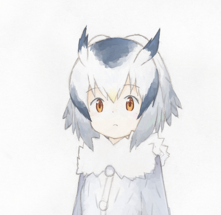 northern white-faced owl (kemono friends) drawn by uepon_(shimo_ponzu)