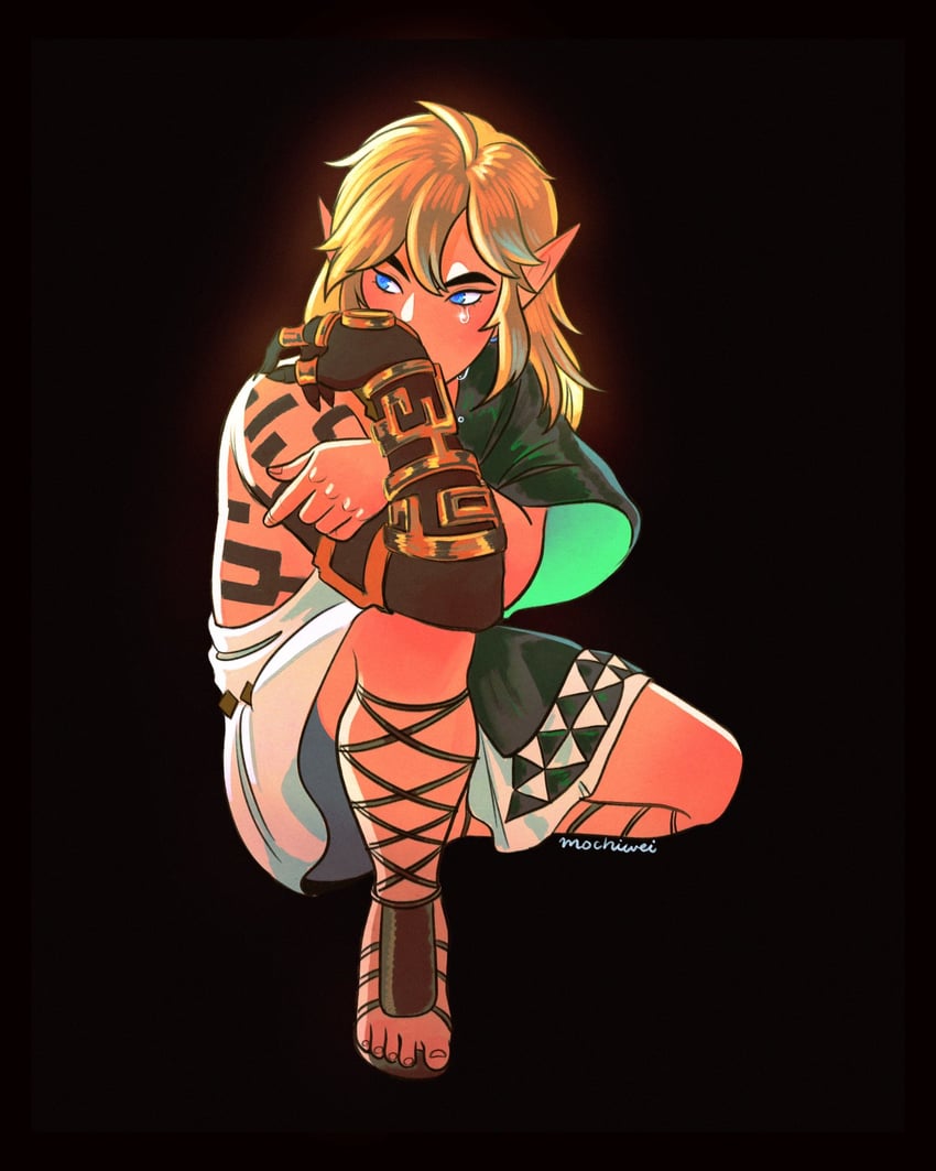 link (the legend of zelda and 1 more) drawn by mochiwei
