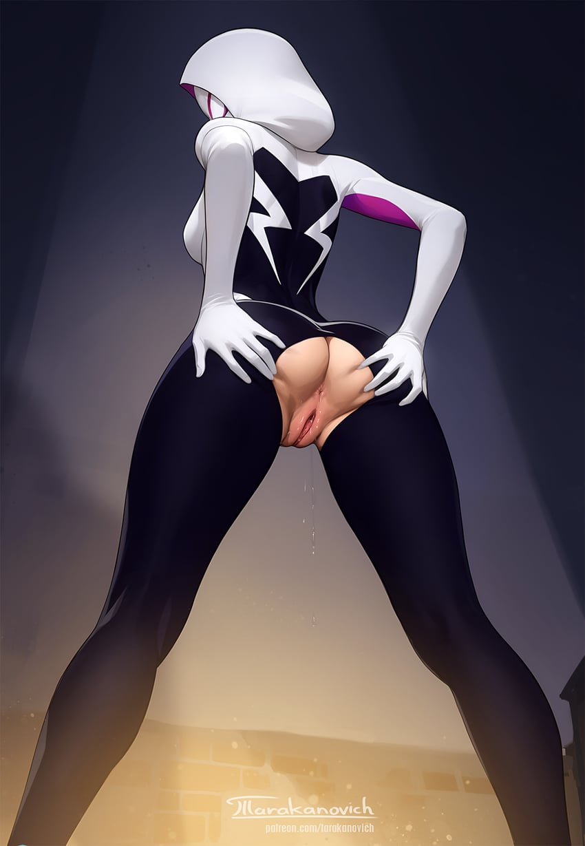 spider-gwen (marvel and 1 more) drawn by tarakanovich