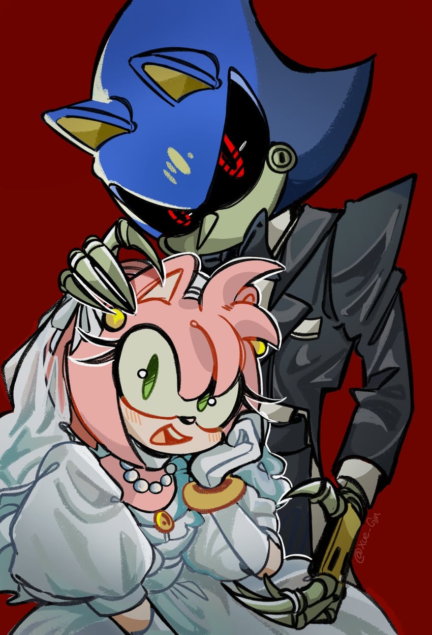 amy rose and metal sonic (sonic) drawn by xue_gin