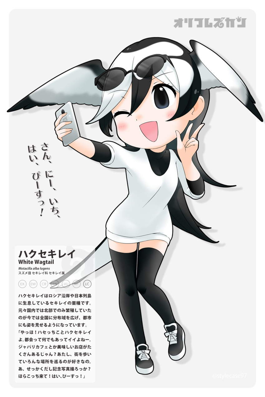 white wagtail (original and 1 more) drawn by stylecase