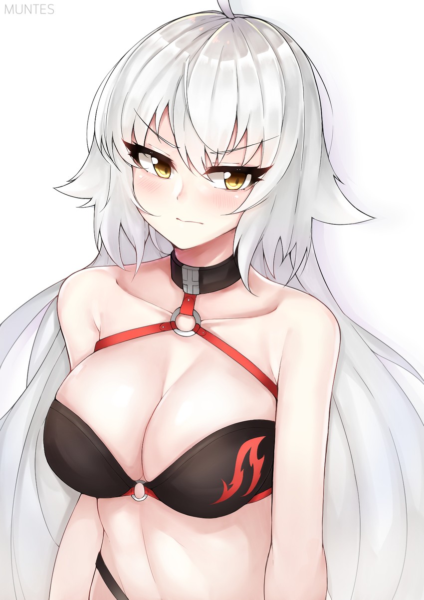 jeanne d'arc alter (fate and 1 more) drawn by muntes