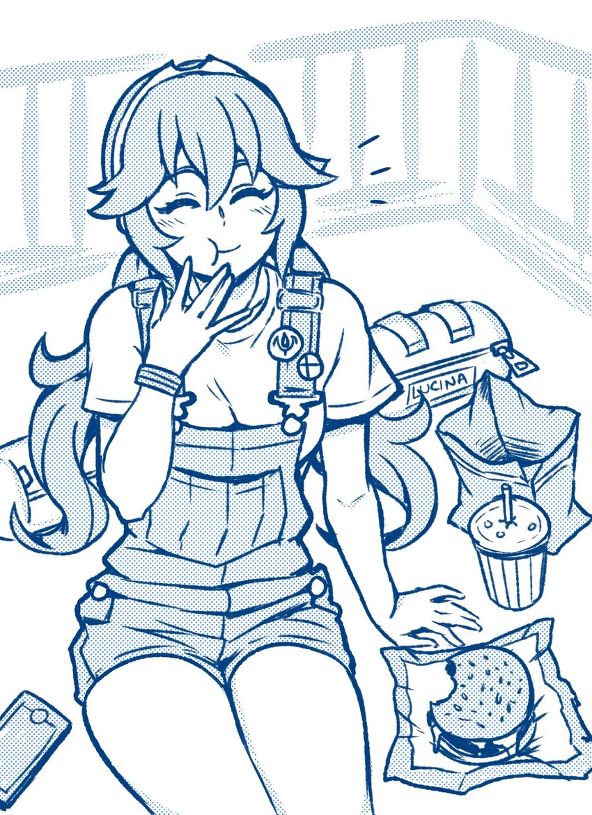 lucina (fire emblem and 2 more) drawn by akairiot