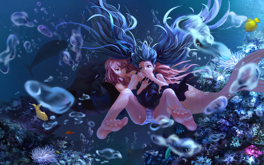 hatsune miku and megurine luka (vocaloid and 1 more) drawn by neko-mura_ikkro