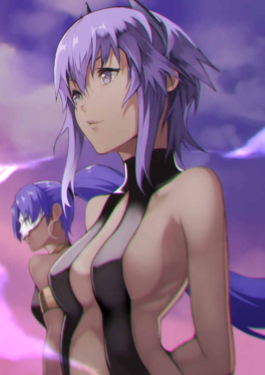 hassan of serenity, assassin, and female assassin (fate and 1 more) drawn by yoshio_(55level)