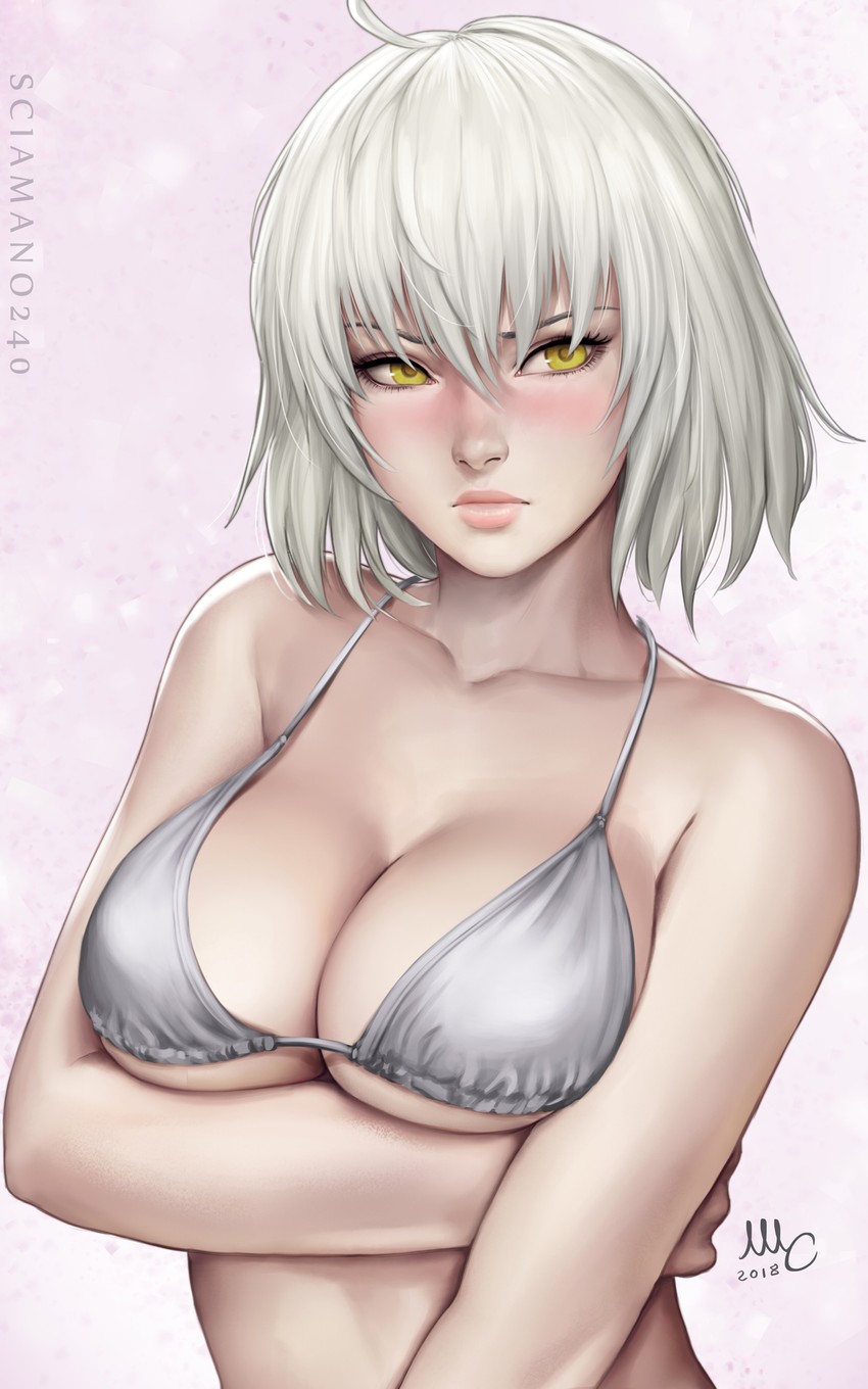 jeanne d'arc alter (fate and 1 more) drawn by sciamano240