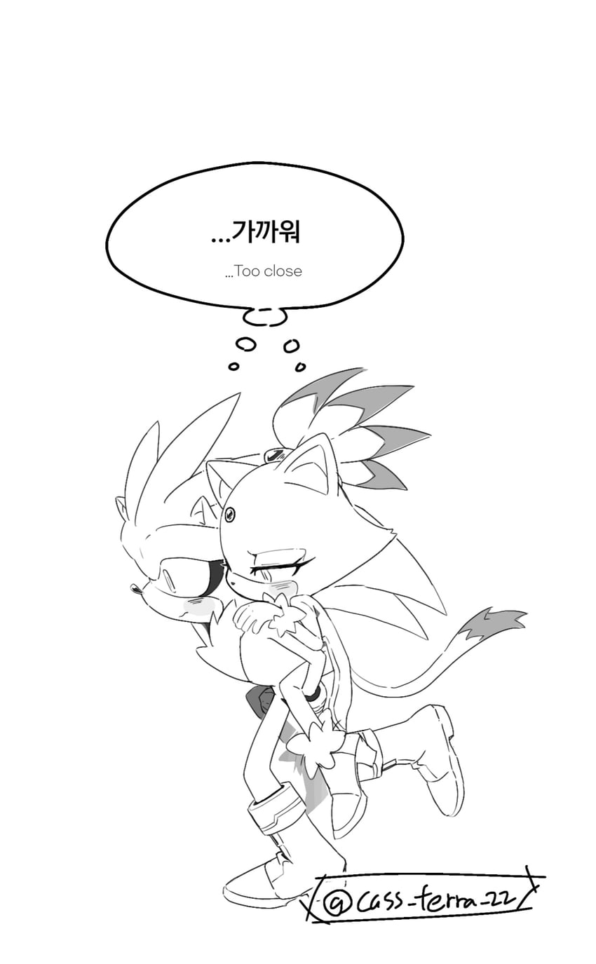 blaze the cat and silver the hedgehog (sonic) drawn by cass_terra_22