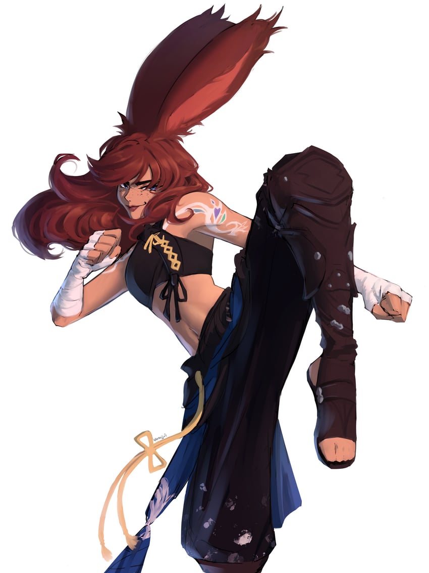warrior of light and monk (final fantasy and 1 more) drawn by noroiju