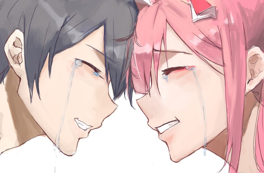zero two and hiro (darling in the franxx) drawn by liudaohai6001