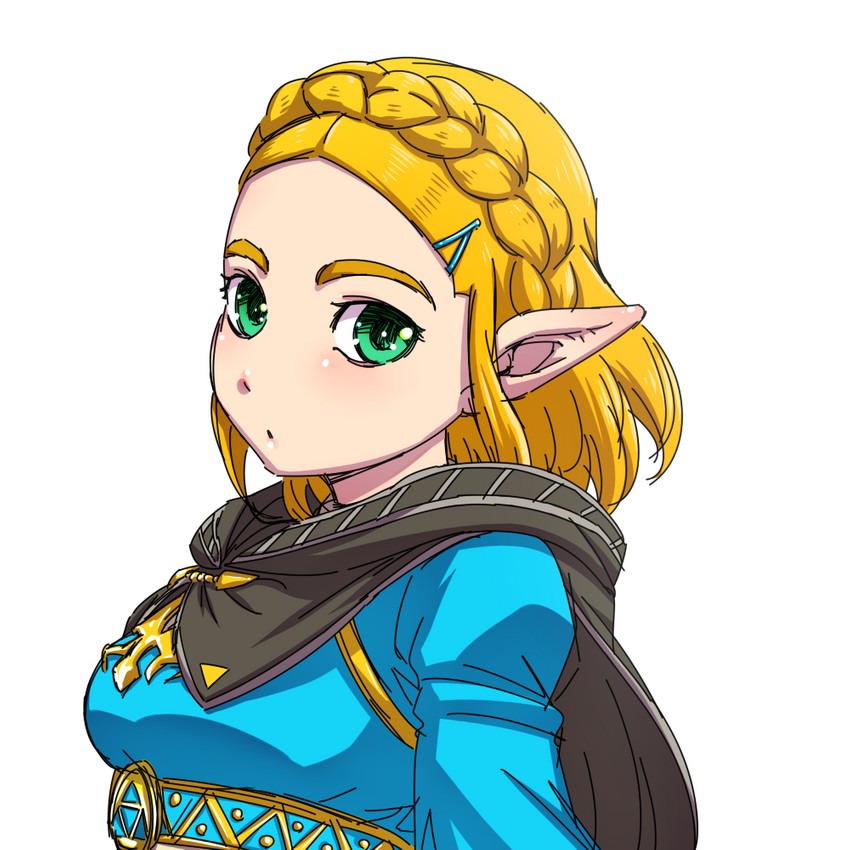 princess zelda (the legend of zelda and 1 more) drawn by hanya_(hanya_yashiki)