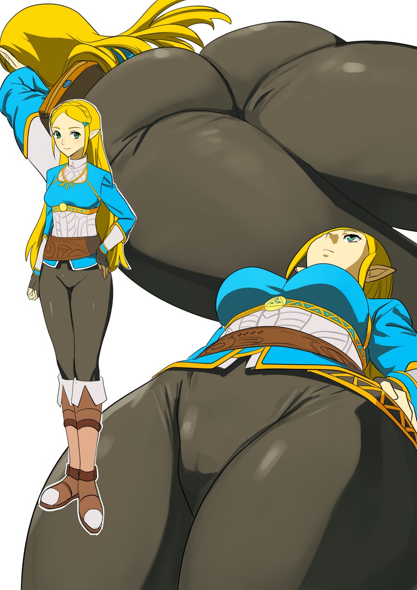 princess zelda (the legend of zelda and 1 more) drawn by hakuto7u