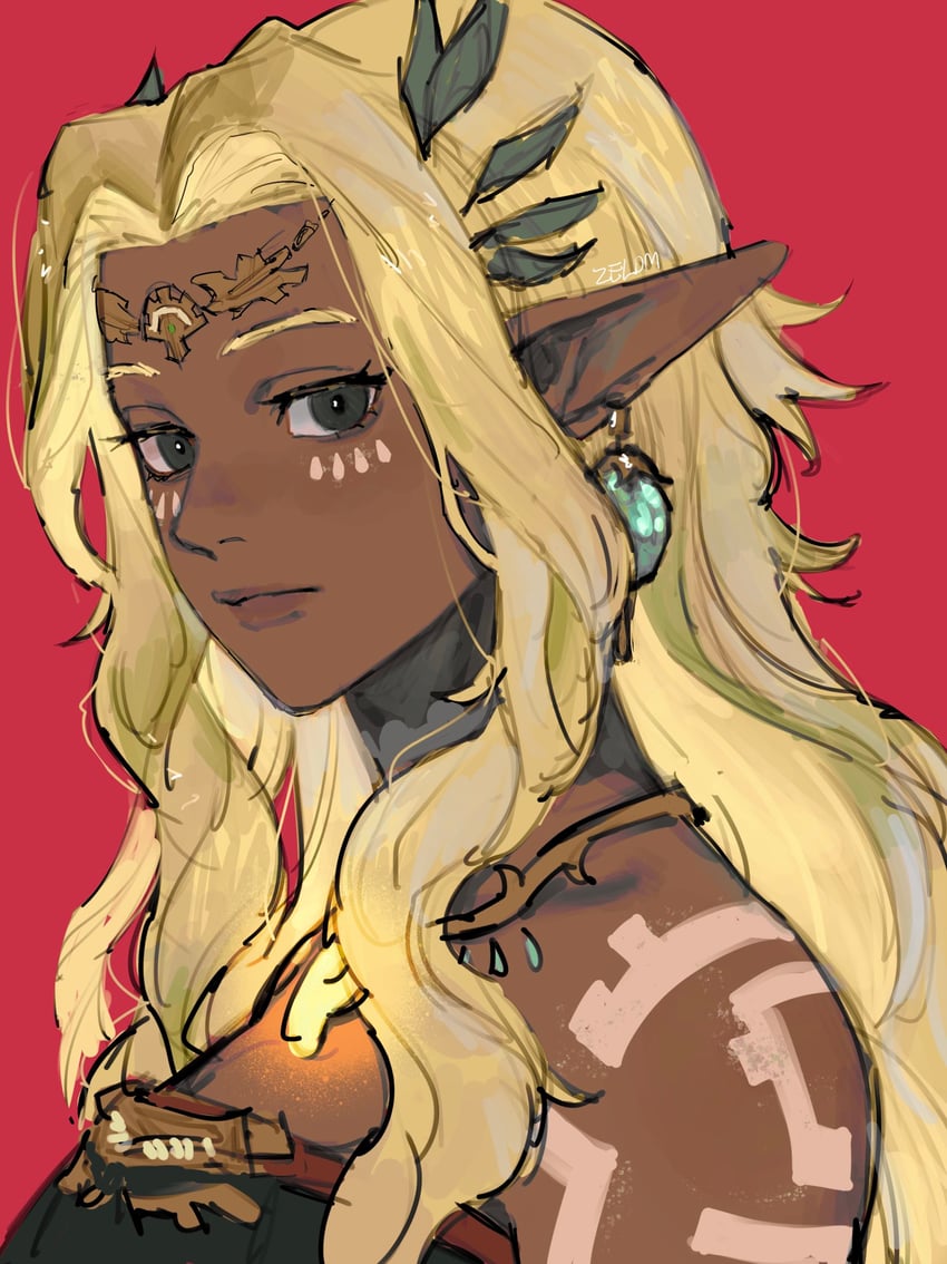 sonia (the legend of zelda and 1 more) drawn by zeldm