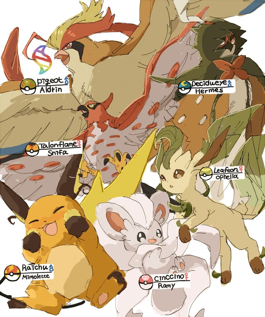 leafeon, raichu, decidueye, pidgeot, talonflame, and 2 more (pokemon) drawn by cc8nw42u15apug0