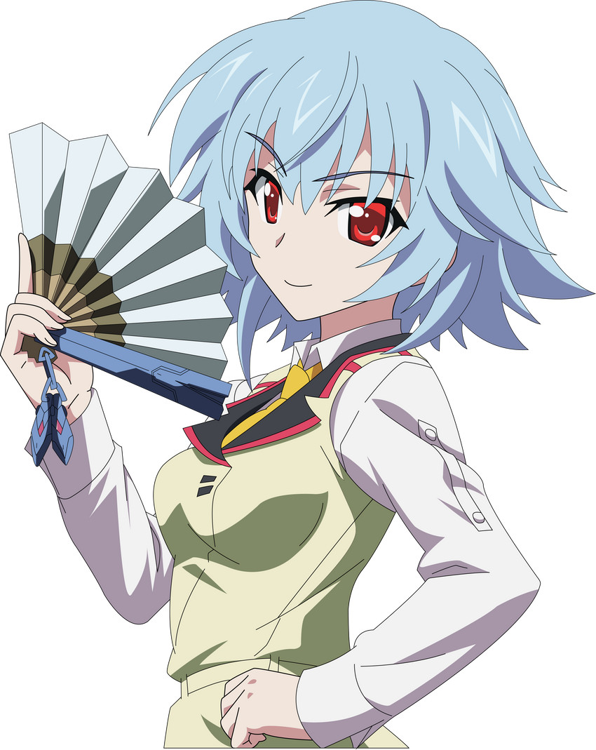 sarashiki tatenashi (infinite stratos) drawn by adgaps