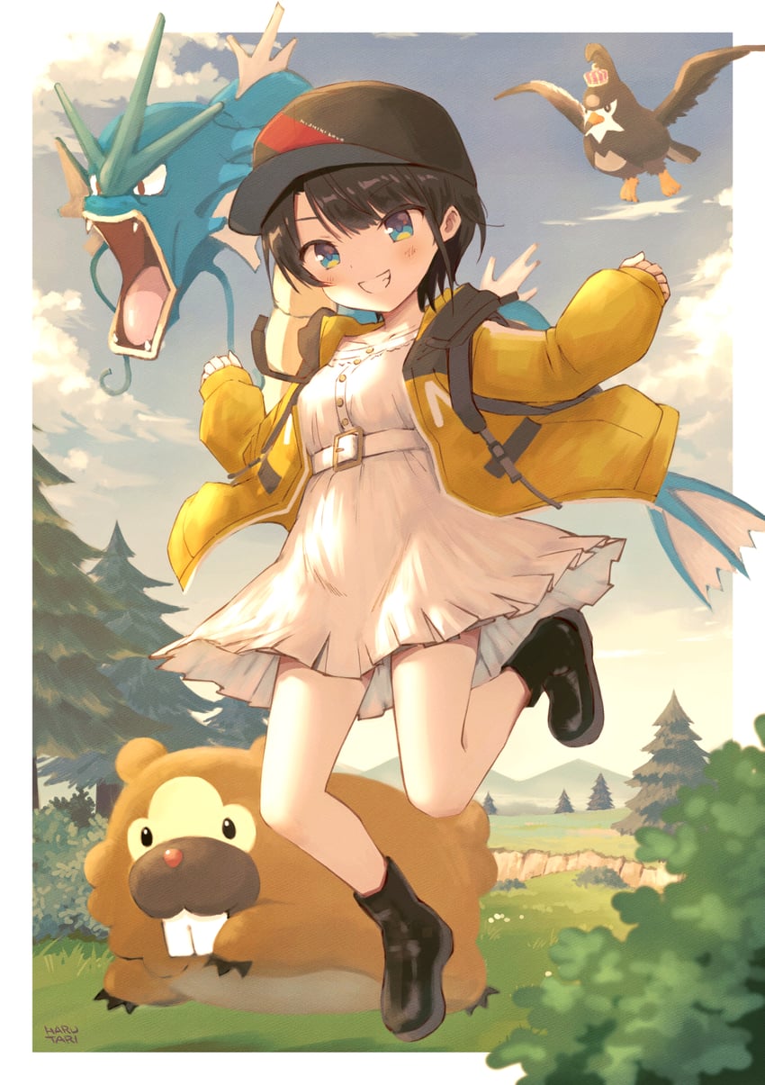 dawn, oozora subaru, gyarados, bidoof, and staravia (pokemon and 2 more) drawn by harutari