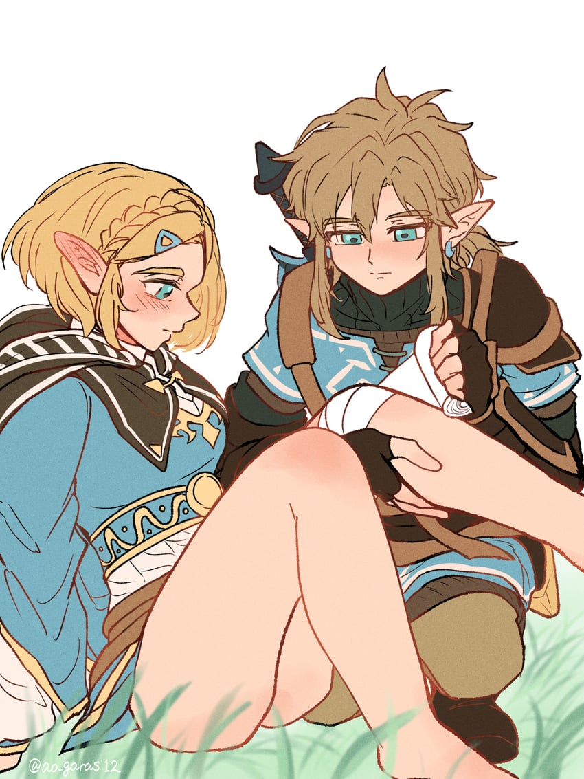 link and princess zelda (the legend of zelda and 1 more) drawn by aorin_(riley17_a)