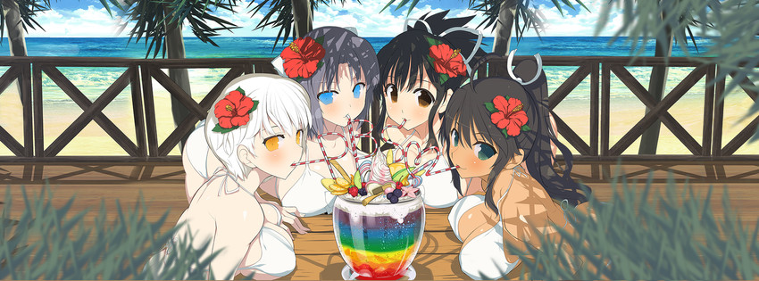 yumi, asuka, homura, and miyabi (senran kagura and 1 more) drawn by yaegashi_nan